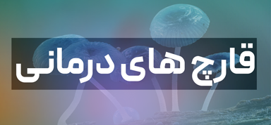 gharch-haye-darmani