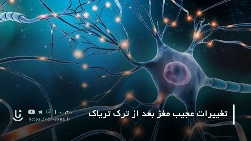 یک تغییر عجیب: مغز می تواند دوباره خودش را تنظیم کند