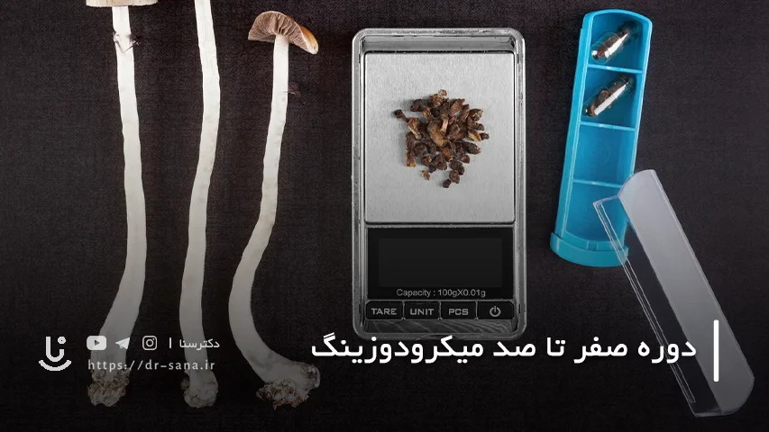 میکرودوزینگ قارچ سیلوسایبین چه فوایدی دارد؟