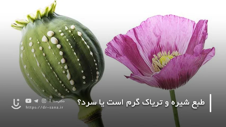 تعریق و تغییر دمای بدن بعد از ترک تریاک